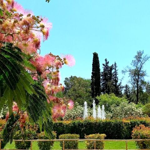 Από το Ψυχικό στο Green Park: Η προσωπική διαδρομή της συγγραφέως Μανίνα Ζουμπουλάκη