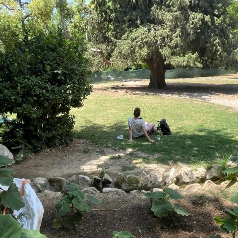 Από τη Βασιλίσσης Σοφίας στον Εθνικό Κήπο: Η προσωπική διαδρομή του Γιάννη Νένε