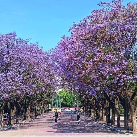 Από τα Αναφιώτικα στη Ρωμαϊκή Αγορά: Η προσωπική διαδρομή της Έλενας Ντάκουλα