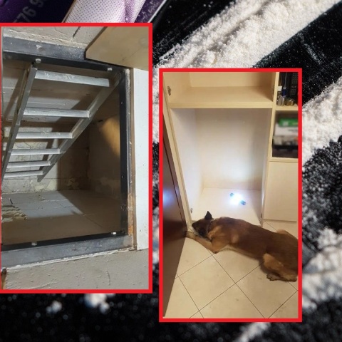 Θεσσαλονίκη: Κατάσχεση 6 κιλών κοκαΐνης και δύο συλλήψεις - Συνδέονται με το πολυμελές κύκλωμα που μετέφερε 265 κιλά κοκαΐνης από τη Λατινική Αμερική.