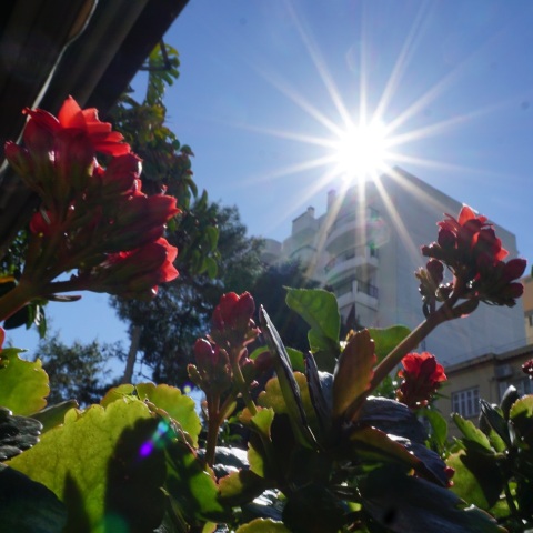 Με διαστήματα ηλιοφάνειας σε αρκετές περιοχές της χώρας θα ξεκινήσει η εβδομάδα, ενώ αισθητή άνοδο θα σημειώσει από τη Δευτέρα 19 Ιουνίου η θερμοκρασία.