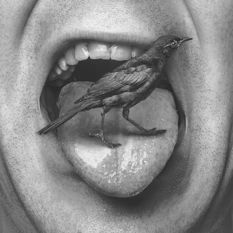 8 απλοί κανόνες για όποιον θέλει να είναι προοδευτικός άνθρωπος