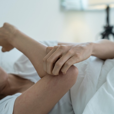  Σε 25 περιοχές του Βελγίου εντοπίστηκε το κουνούπι τίγρης