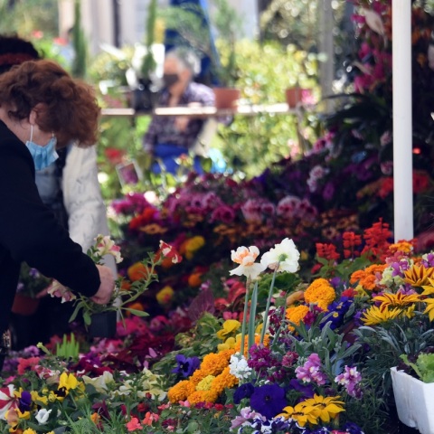 Πάγκους από 3D εκτυπωτές ενδέχεται να έχουν στο μέλλον οι λαϊκές αγορές - Παρουσίαση από φοιτητές του τμήματος Βιομηχανικού Σχεδίου. 