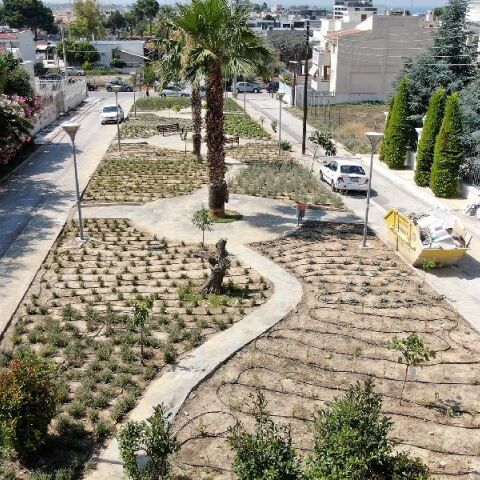 Πού θα βρεις τον δημόσιο βοτανόκηπο του Αλίμου