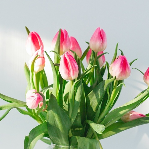 Μπουκέτο με τουλίπες