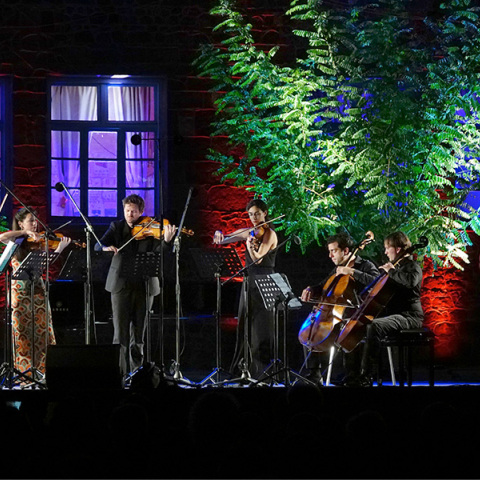 Από το 8ο Διεθνές Φεστιβάλ Μουσικής Μολύβου