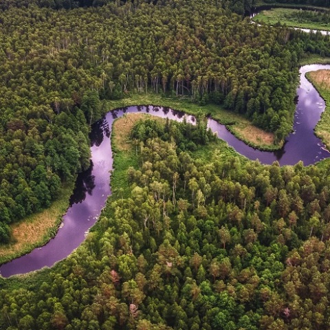 Κλιματική αλλαγή: Ο πλανήτης έχανε το 2022 μια επιφάνεια τροπικού δάσους ίση με ένα γήπεδο ποδοσφαίρου κάθε 5 δευτερόλεπτα - Οι πλέον πληγείσες χώρες.