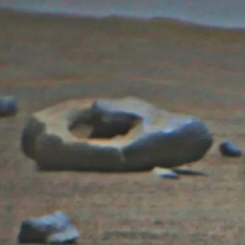 donut