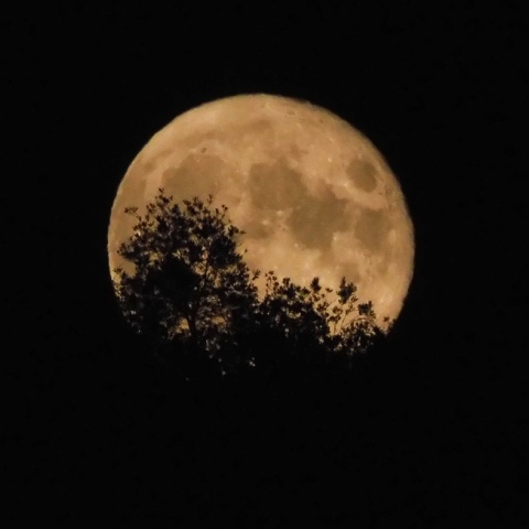 Πανσέληνος Αυγούστου 2023 