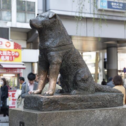 Hachiko