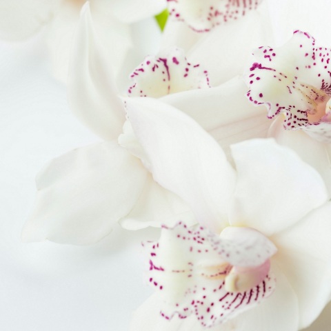 Ποιοι γιορτάζουν σήμερα 5 Ιουλίου; Το εορτολόγιο της Athens Voice σου τους θυμίζει. Μην ξεχάσεις να τους δώσεις τις καλύτερες ευχές σου!