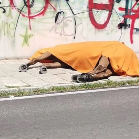 Κέρκυρα: Συνελήφθη ο ιδιοκτήτης του αλόγου - Πρόστιμο 30.000