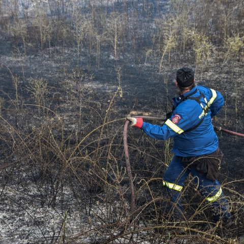 Πυροσβέστης με τη μάνικα ανά χείρας επιχειρεί για την κατάσβεσης φωτιάς