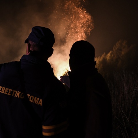 Φωτιά τώρα σε Σάμο και Τέμπη - Στις φλόγες δασική έκταση στην περιοχή Μεγάλη Λάκκα και στο 381ο χλμ Π.Ε.Ο. Αθηνών - Θεσσαλονίκης.