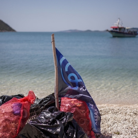 θαλάσσια σκουπίδια