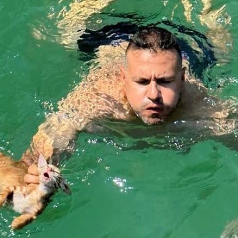 Διάσωση για γατάκι από πλήρωμα ferry boat στη Σαλαμίνα