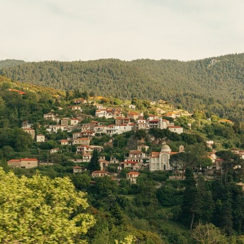 Vamvakou Experience Festival 2023: Το πρόγραμμα του τριήμερου φεστιβάλ με ελεύθερη είσοδο στο χωριό της Βαμβακούς Λακωνίας, 14 - 16 Ιουλίου, με την αποκλειστική δωρεά του Ιδρύματος Σταύρος Νιάρχος (ΙΣΝ).