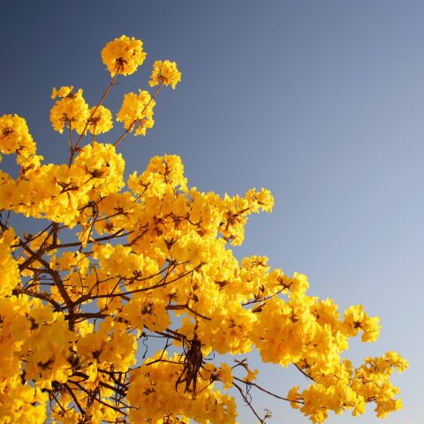 emma-svalstad-61ffubmyu7y-unsplash