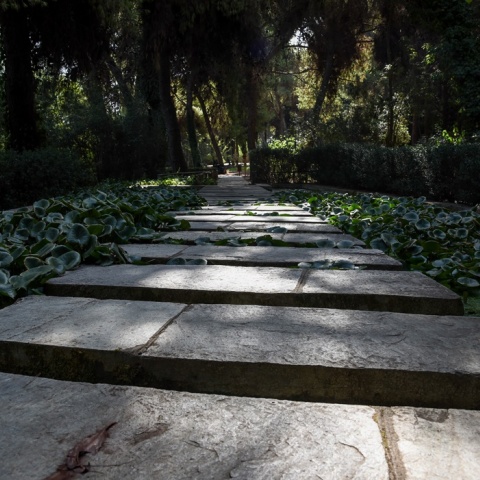 Σκαλοπάτια πάρκου