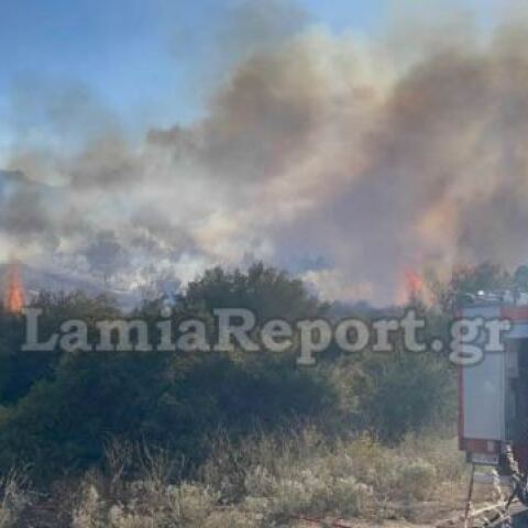 Φωτιά τώρα στη Λαμία