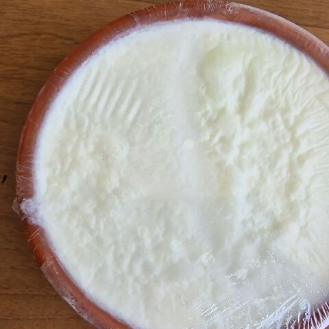 Γαλακτοπωλείο Δάφνη