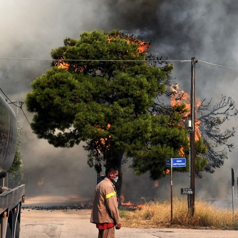 Φωτιά στο Λουτράκι - Θολό από τους καπνούς τοπίο - Φωτιά σε δέντρο