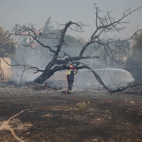 Πυροσβέστες επιχειρούν για την κατάσβεση φωτιάς στον Κουβαρά Αττικής