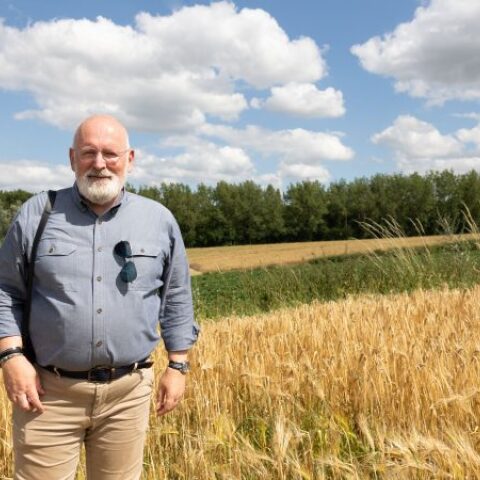 Πώς ο νόμος για την Αποκατάσταση της Φύσης δίχασε το Ευρωπαϊκό Κοινοβούλιο σε δύο στρατόπεδα - Η στρατηγική νίκη για τον Τίμερμανς (Κόμμα Ευρωπαίων Σοσιαλιστών) και η αχρείαστη ήττα για τον Βέμπερς (Ευρωπαϊκό Λαϊκό Κόμμα - ΕΛΚ).