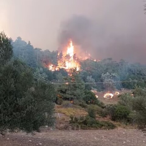 Φωτιά τώρα στη Ρόδο