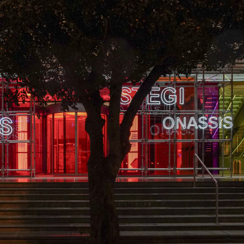 Στέγη Ιδρύματος Ωνάση