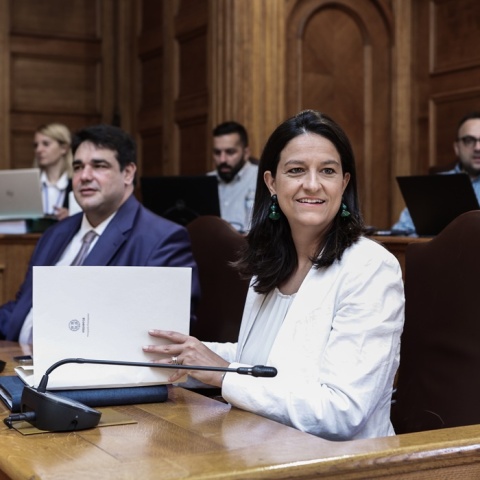 Νίκη Κεραμέως - Θοδωρής Λιβάνιος 