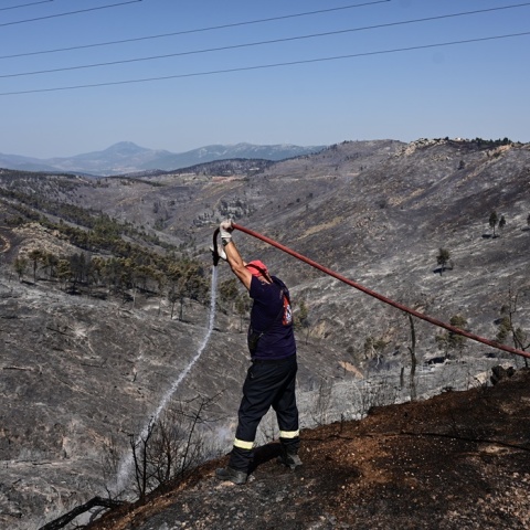 Πυροσβέστης επιχειρεί με μάνικα σε σημείο όπου η φωτιά σβήνει 