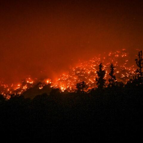 Φωτιά στο Αίγιο