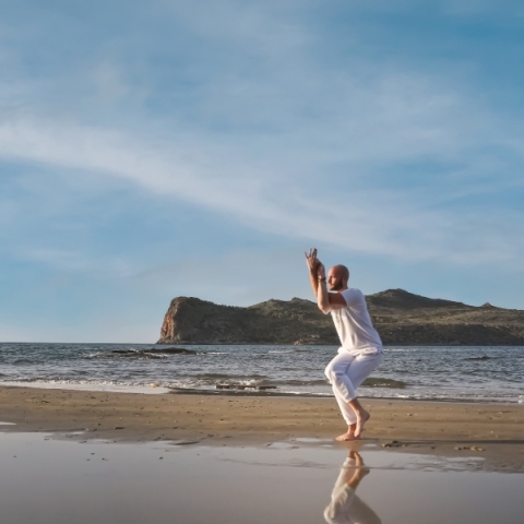 Δημήτρης Γκιούλος