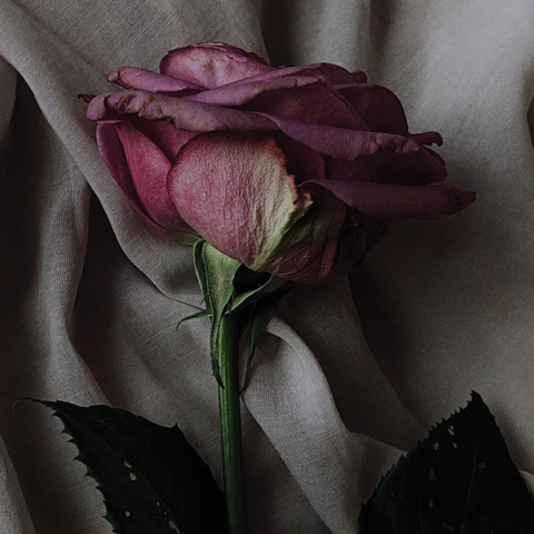 Ημερολόγιο πένθους: Ο θάνατος της μαμάς