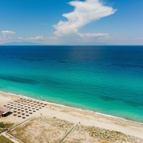 339793129_184024281092588_5166370297099042077_n