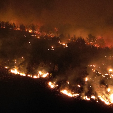 Φωτιά έκαψε δασική έκταση στη Χίο