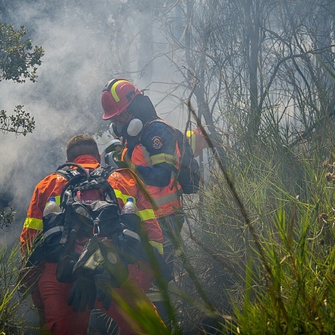 Ηράκλειο: Επιχείρηση της πυροσβεστικής για πυρκαγιά ανάμεσα σε Γοργολαϊνι και Κρουσώνα – Ισχυρές δυνάμεις επιχειρούν στις εστίες της φωτιάς.