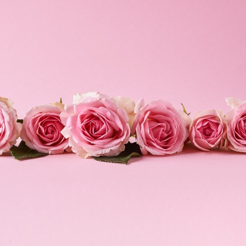 Ποιοι γιορτάζουν σήμερα 2 Αυγούστου; Το εορτολόγιο της Athens Voice σου τους θυμίζει. Μην ξεχάσεις να τους δώσεις τις καλύτερες ευχές σου!