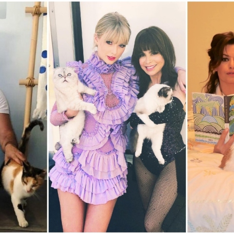 Γιώργος Καπουτζίδης, Taylor Swift, Δωροθέα Μερκούρη