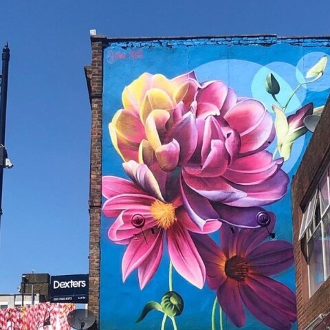 Tοιχογραφίες ανθέων της Sophie Mess