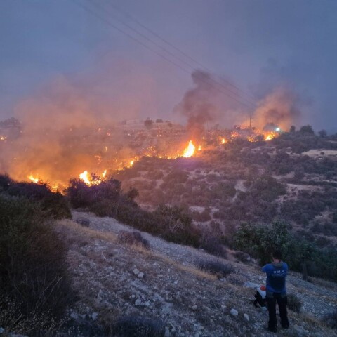 Οι φλόγες στην πλαγιά στην Άλασσα Λεμεσού