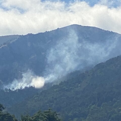 Φωτιά στον Όλυμπο - Καπνός ξεπηδά μέσα από δύσβατη, πευκόφυτη περιοχή