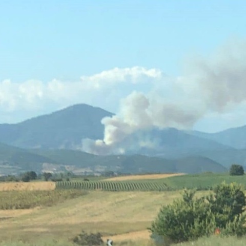 Φωτιά τώρα στη Ροδόπη