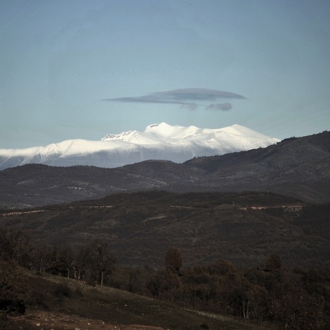 Φωτιά τώρα στον Όλυμπο - Στην τοποθεσία Μπεχτέσι της κοινότητας Καρυάς Ελασσόνας, σε δύσβατη περιοχή – Μεγάλη κινητοποίηση.
