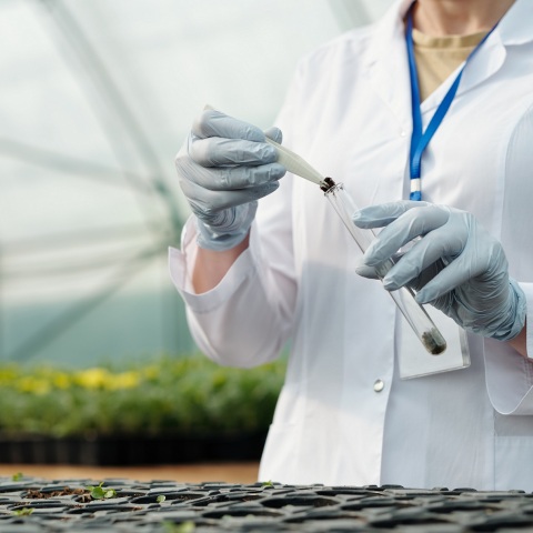 Η Ελλάδα κατατάσσεται δεύτερη στην ΕΕ στον ρυθμό αύξησης των κατά κεφαλή κρατικών δαπανών για έρευνα και ανάπτυξη - Τα στοιχεία της Eurostat.