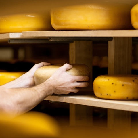 Ιταλία: Τυροκόμος σκοτώθηκε θαμμένος κάτω από χιλιάδες κεφάλια τυριού στη Λομβαρδία - Αλυσιδωτή πτώση επέφερε τον θάνατο σε αποθήκη φύλαξης.