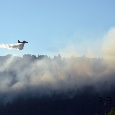Φωτιά τώρα στη Φθιώτιδα