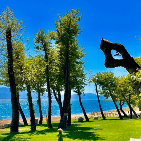 Από την λίμνη Τριχωνίδα στα Ορεινά χωριά